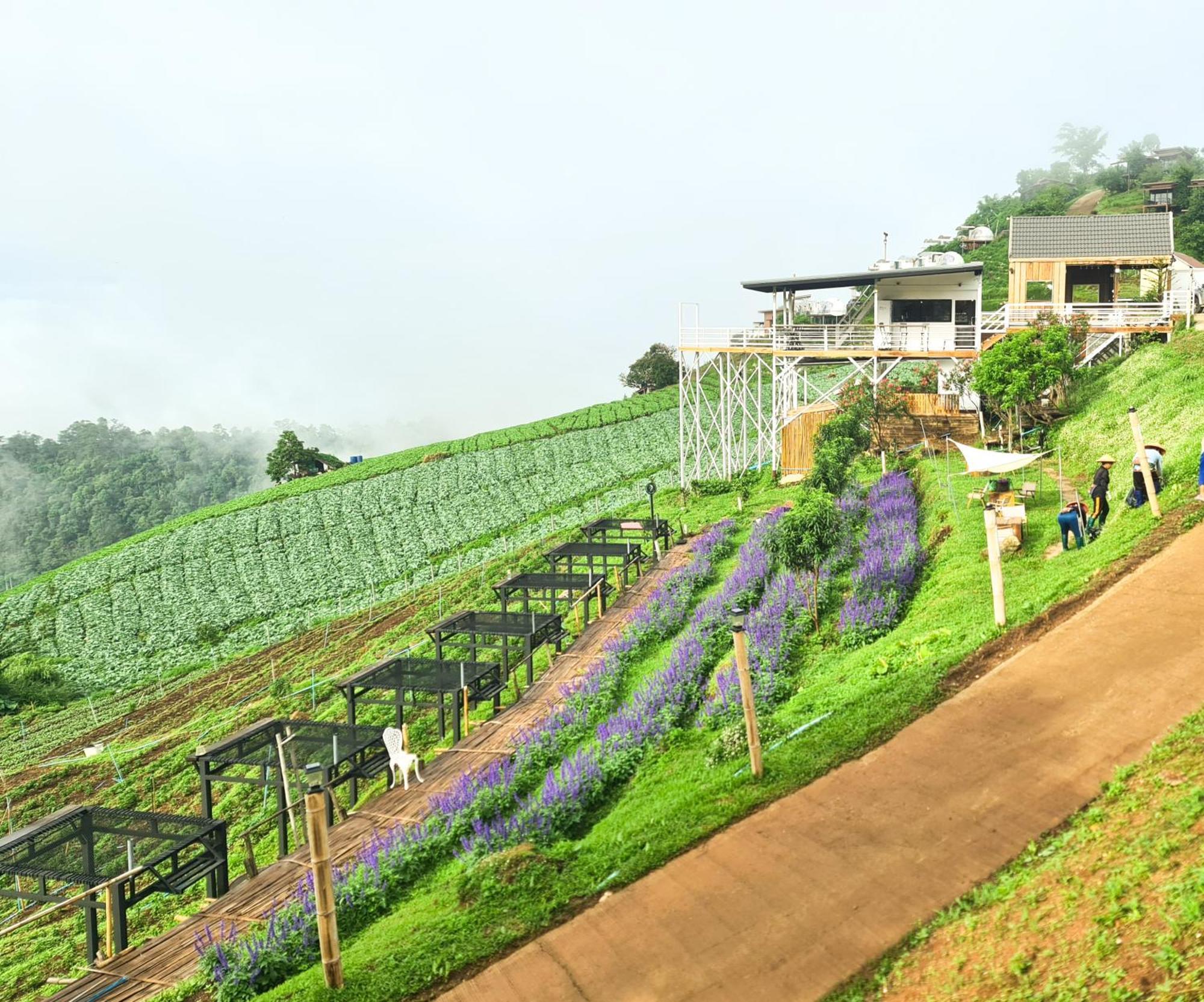 ภูวินคาเฟ่ โฮมสเตย์ Phuwin Cafe Homestay Mon Jam Exteriér fotografie